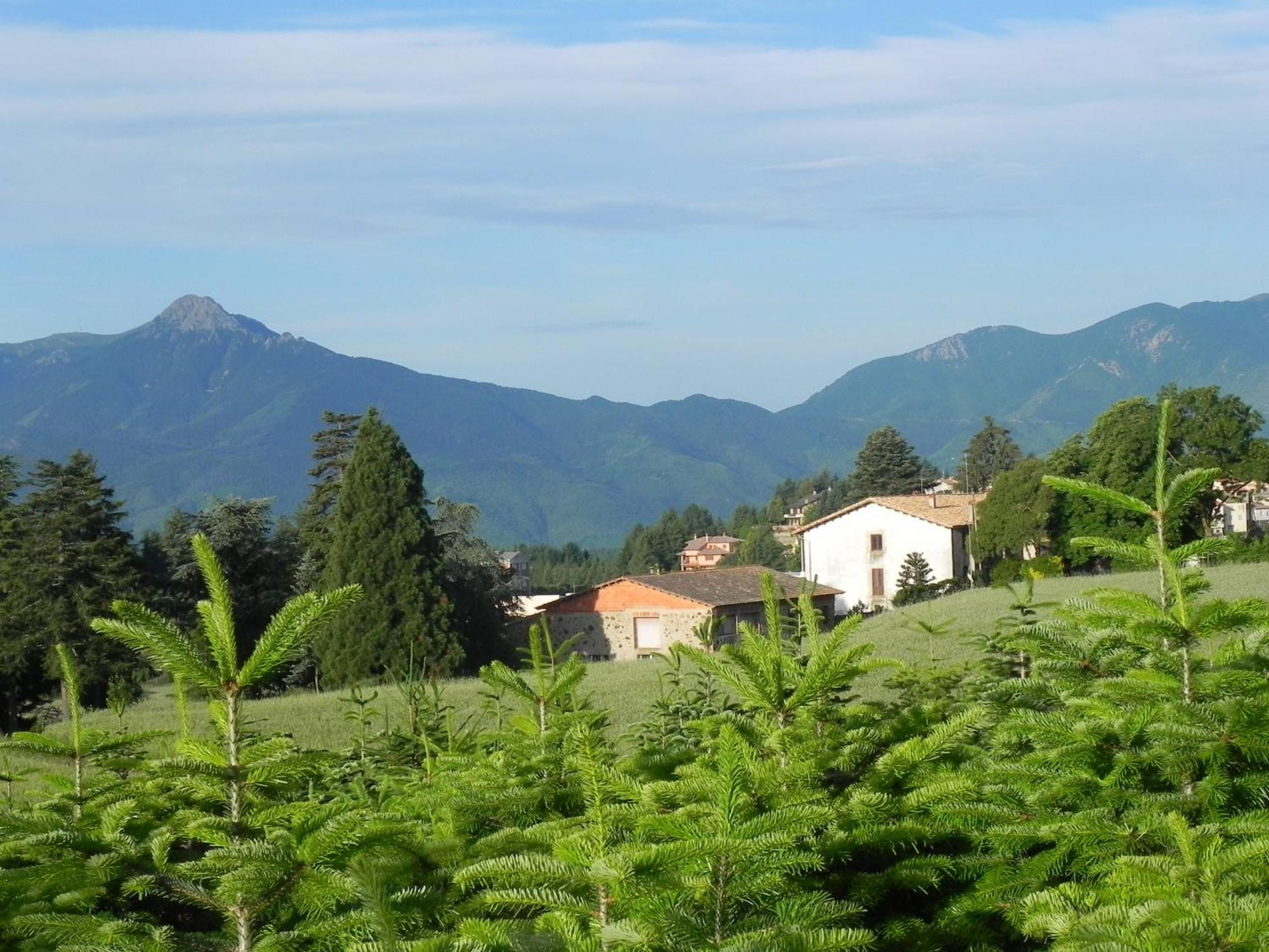 Hotel Ripoll Sant Hilari Sacalm Exterior photo